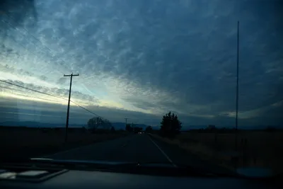 DSC_3118 (Large).JPG